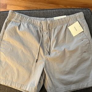 Calvin Klein Light Gray Casual Shorts